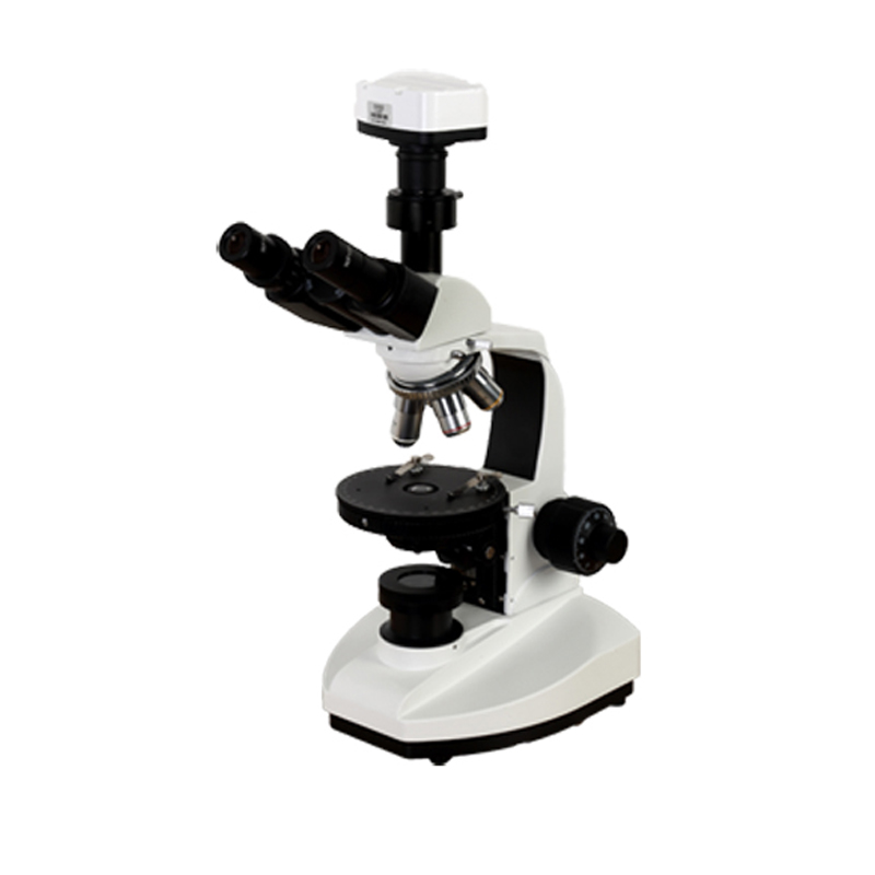 CP-202